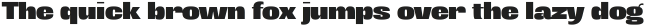 Antipoda Variable Regular ttf (400)
