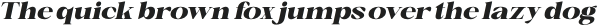 First Class Neue Black Italic otf (900)