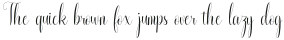 Diamond Script Regular otf (400)