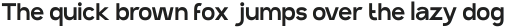 SK Synonym Grotesk Black ttf (900)