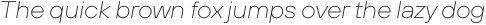 TT Hoves Pro Expanded Thin Italic otf (100)