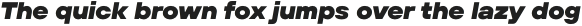 TT Hoves Pro Expanded Black Italic otf (900)