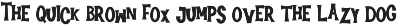 Tiki Tropical Summer Font font preview