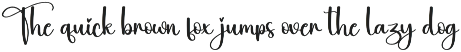 Beauty | Script Font preview