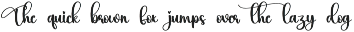 Instagnam | Script Font preview