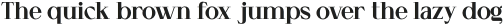 Cellofy Black otf (900)