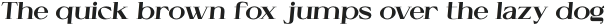 Cellofy Extra Black Semi Expanded Italic otf (900)