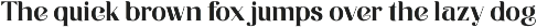 Elwin - Minimal Serif Typeface preview