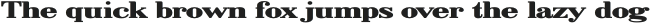 Giantus Black Expanded otf (900)