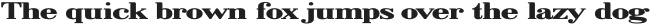 Giantus Bold Expanded otf (700)