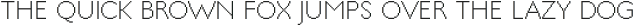 SB Guillotine Sans Light otf (300)