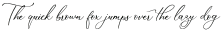 Marvelous Script otf (400)