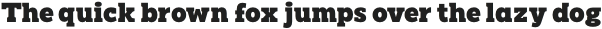 Pamuci Black otf (900)