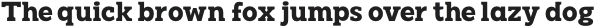 Pamuci-Bold otf (700)