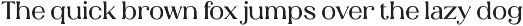 Coccina - Serif Font preview