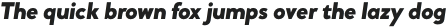 Daily Sans Black Italic otf (900)