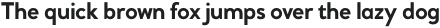 Daily Sans ExtraBold otf (700)