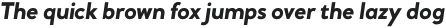 Daily Sans Heavy Italic otf (800)