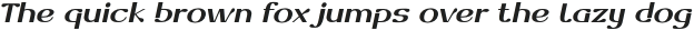 Dofend Bold Slanted otf (700)