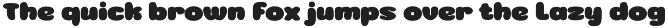 Ninces preview