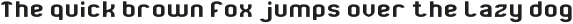 Business-Light otf (300)
