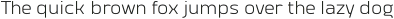 Vogie Light otf (300)