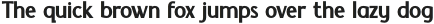 RotunRegular otf (400)