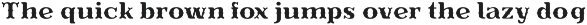 Evereast Western Slab-Serif preview