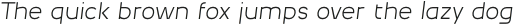 MBF Logonarium Thin Italic otf (100)