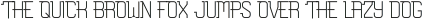 Rimpanze Light otf (300)