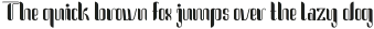 Cintiya ttf (400)