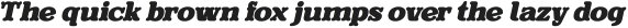 Evereast Soft-Edge Bold Italic otf (700)