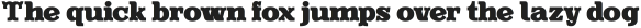 Evereast Slab-Serif Bold Bold otf (700)