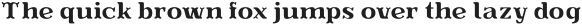 Evereast Slab-Serif Light Light otf (300)