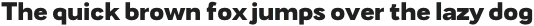TA Fabricans Expanded ExtraBold otf (700)