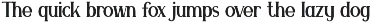 Arniek - Beautiful Serif Font preview