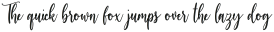 Manchester otf (400)