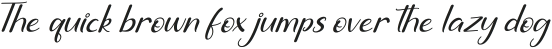Summer Story Italic otf (400)