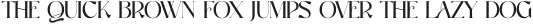 VASQUZ otf (400)