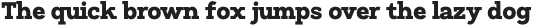 Nielmaden Extra Bold otf (700)