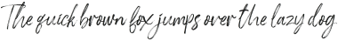 Blingston Brush Font Regular otf (400)