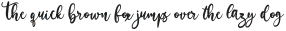 HolidayLoveFont otf (400)
