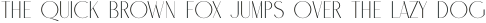 Calleo-HairLine otf (100)