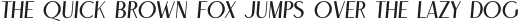 Calleo Medium Italic otf (500)