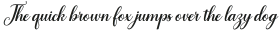 The Juliette Script Slant Italic otf (400)