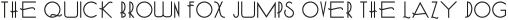 Schiz-Deco Thin otf (100)