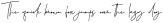 Novita Signora Signature otf (400)
