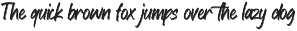 Nice Postman - Fun Brush Font preview