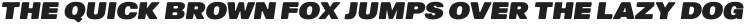 Litho Display Rounded Italic ttf (400)