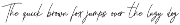 Ankashi Sweet Monoline Script preview
